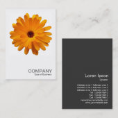 Vierkante foto 0233 - Oranje goudsbloem Visitekaartje (Voorkant / Achterkant)