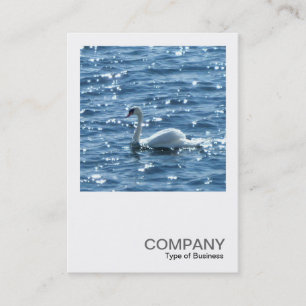 Vierkante foto 0242 - Swan Visitekaartje