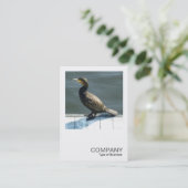 Vierkante foto 0250 - Aalscholver Visitekaartje (Staand voorkant)