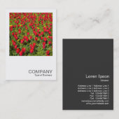 Vierkante foto 02 - Tulpen Visitekaartje (Voorkant / Achterkant)