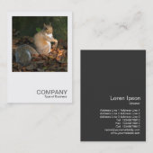 Vierkante foto 0364 - Grijze eekhoorn Visitekaartje (Voorkant / Achterkant)