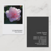 Vierkante foto 0394 - Roze Camellia Visitekaartje (Voorkant / Achterkant)