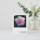 Vierkante foto 0394 - Roze Camellia Visitekaartje (Staand voorkant)