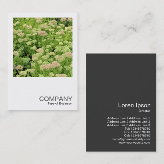 Vierkante foto 0426 - Sedum (Herfstvreugde) Visitekaartje (Voorkant / Achterkant)