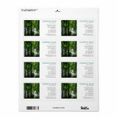 Vierkante foto - Bomen langs een rivier Etiket (Full Sheet)