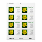 Vierkante foto - Buttercup Etiket (Full Sheet)