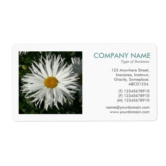 Vierkante foto - Candytuft-margriet Etiket (Voorkant)