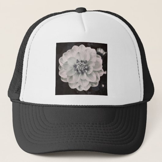 Vierkante foto - Chrysanthemum Trucker Pet (Voorkant)