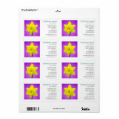 Vierkante foto - Daffodil Etiket (Full Sheet)
