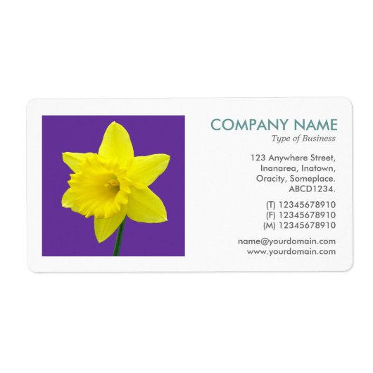 Vierkante foto - Daffodil II Etiket (Voorkant)