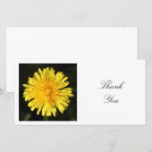 Vierkante foto - Dandelion Bedankkaart (Voorkant / Achterkant)