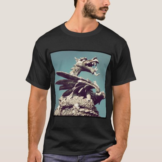Vierkante foto - Dragon T-shirt (Voorkant)
