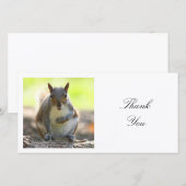 Vierkante foto - eekhoorn bedankkaart (Voorkant / Achterkant)