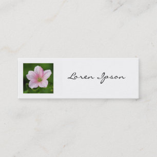 Vierkante foto - Geranium Mini Visitekaartje