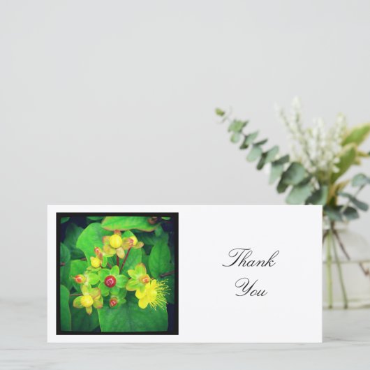 Vierkante foto - Hypericum Bedankkaart (Staand voorkant)