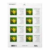 Vierkante foto - Hypericum perforatum Etiket (Full Sheet)