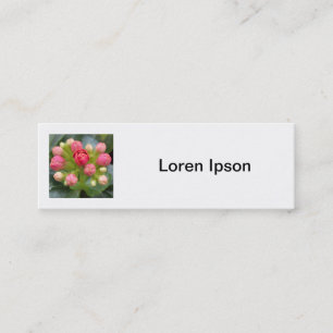 Vierkante foto - Kalanchoe knoppen Mini Visitekaartje