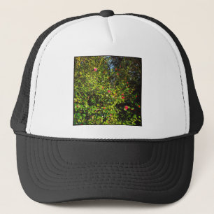 Vierkante foto - Magnolia Struik 02 Trucker Pet