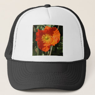 Vierkante foto - Oranje papaver Trucker Pet