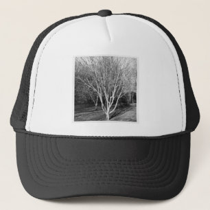Vierkante foto - structuur trucker pet