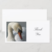 Vierkante foto - Swan Bedankkaart (Voorkant / Achterkant)