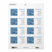 Vierkante foto - Swan Etiket (Full Sheet)