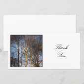 Vierkante foto - Trees Bedankkaart (Voorkant / Achterkant)