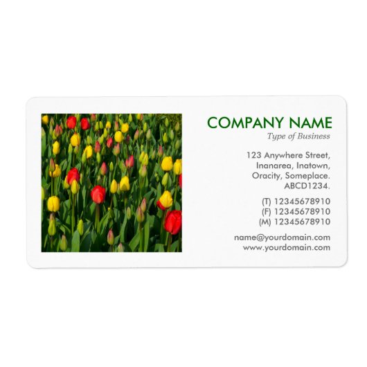 Vierkante foto - Tulips Etiket (Voorkant)