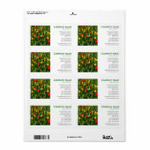 Vierkante foto - Tulips Etiket (Full Sheet)