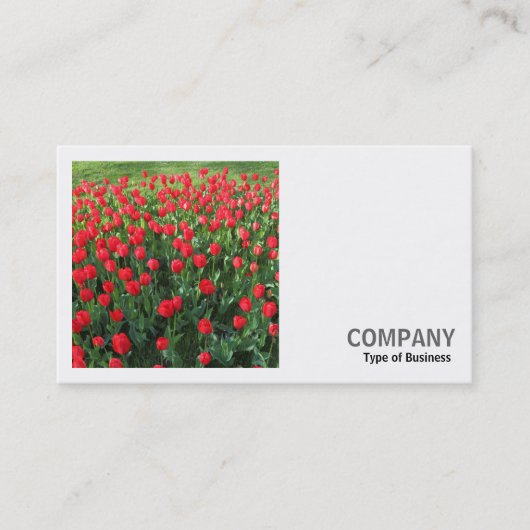 Vierkante foto (v2) - Bed of Red Tulips 01 Visitekaartje (Voorkant)
