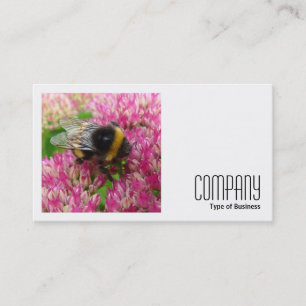 Vierkante foto (v2) - Bumble Bee op sedum Visitekaartje