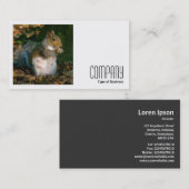 Vierkante foto (v2) - Grijze eekhoorn Visitekaartje (Voorkant / Achterkant)