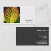 Vierkante foto (v2) - kleurrijk lef visitekaartje (Voorkant / Achterkant)