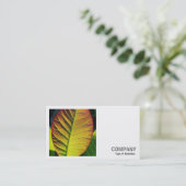 Vierkante foto (v2) - kleurrijk lef visitekaartje (Staand voorkant)