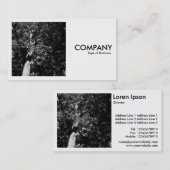 Vierkante foto (v2) - London Plane Tree Visitekaartje (Voorkant / Achterkant)