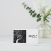 Vierkante foto (v2) - London Plane Tree Visitekaartje (Staand voorkant)