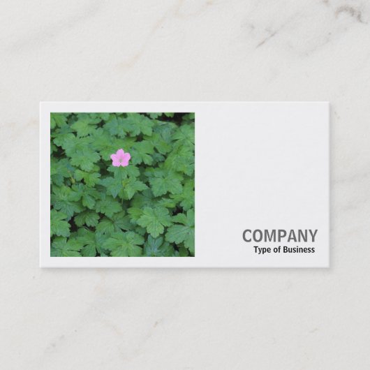 Vierkante foto (v2) - Lone Geranium Visitekaartje (Voorkant)
