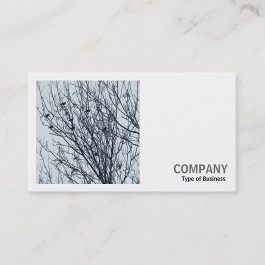 Vierkante foto (v2) - Starlings in een boom Visitekaartje (Voorkant)