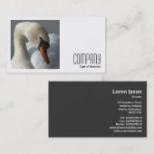 Vierkante foto (v2) - Swan Visitekaartje (Voorkant / Achterkant)