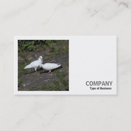 Vierkante foto (v2) - Witte duiven Visitekaartje (Voorkant)