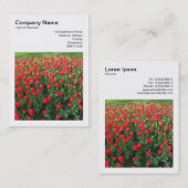 Vierkante foto (v3) - Bed of Red Tulips 01 Visitekaartje (Voorkant / Achterkant)