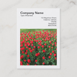Vierkante foto (v3) - Bed of Red Tulips 01 Visitekaartje