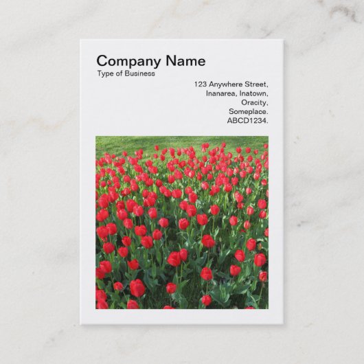 Vierkante foto (v3) - Bed of Red Tulips 01 Visitekaartje (Voorkant)