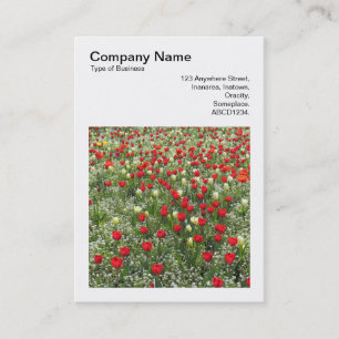 Vierkante foto (v3) - Bed of Tulips Visitekaartje