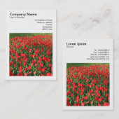 Vierkante foto (v3) - Bed van rode tulpen 02 Visitekaartje (Voorkant / Achterkant)