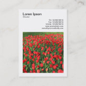 Vierkante foto (v3) - Bed van rode tulpen 02 Visitekaartje (Achterkant)