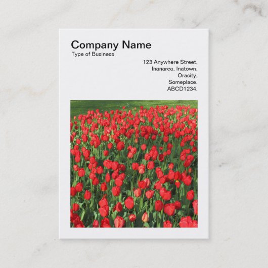 Vierkante foto (v3) - Bed van rode tulpen 02 Visitekaartje (Voorkant)