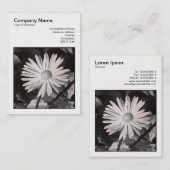 Vierkante foto (v3) - Daisy Visitekaartje (Voorkant / Achterkant)