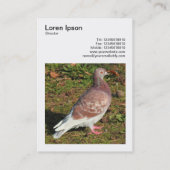 Vierkante foto (v3) - Duif Visitekaartje (Achterkant)