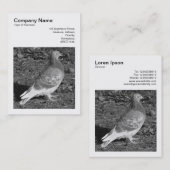 Vierkante foto (v3) - duivenband visitekaartje (Voorkant / Achterkant)